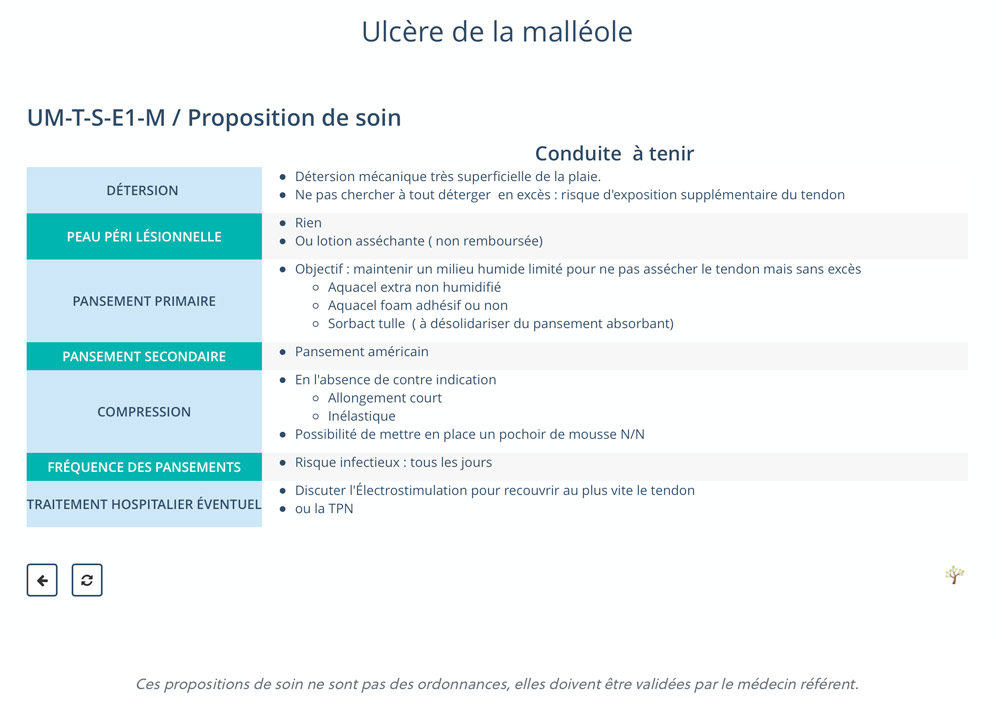 Arbre 4